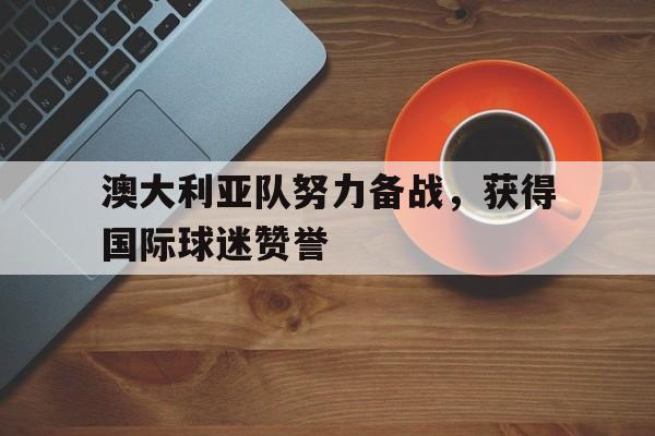 爱游戏登录入口-澳大利亚队厉害吗